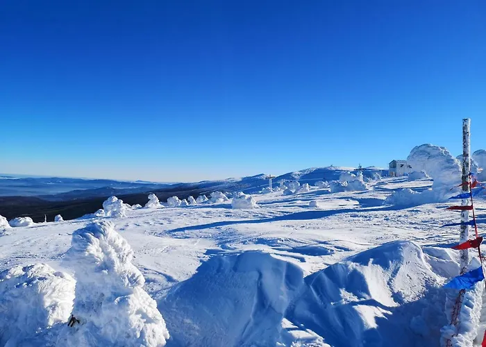 Haven Apartman Warmbrunn